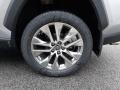 2019 Silver Sky Metallic Toyota RAV4 XLE AWD  photo #10
