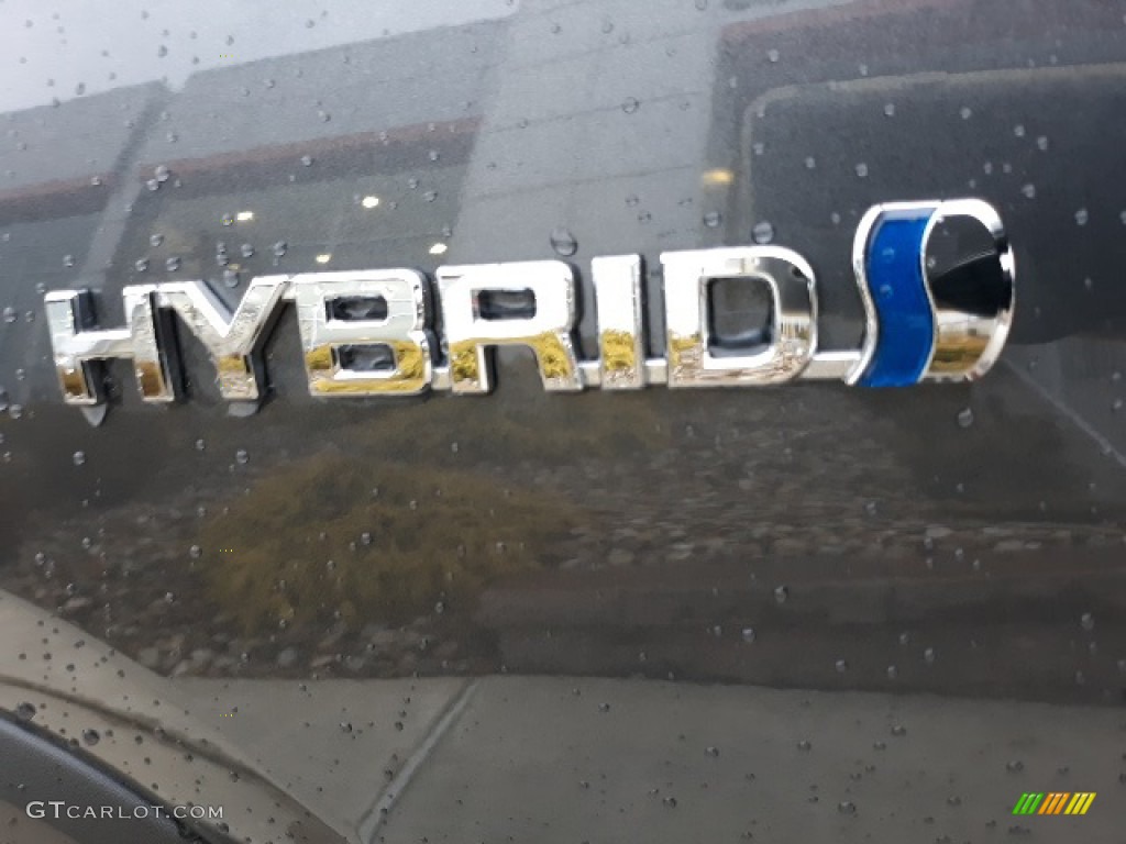 2020 Toyota RAV4 XLE AWD Hybrid Marks and Logos Photo #136349978