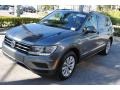 Platinum Gray Metallic - Tiguan SE Photo No. 4