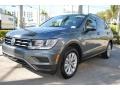 Platinum Gray Metallic - Tiguan SE Photo No. 5