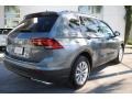 Platinum Gray Metallic - Tiguan SE Photo No. 10