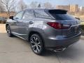 Nebula Gray Pearl - RX 350 AWD Photo No. 4