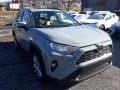 Lunar Rock - RAV4 XLE Premium AWD Photo No. 1