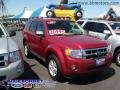 2009 Sangria Red Metallic Ford Escape XLT V6  photo #5