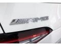 2020 Mercedes-Benz AMG GT 53 Badge and Logo Photo