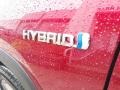2020 Toyota RAV4 Limited AWD Hybrid Badge and Logo Photo