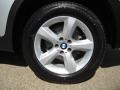 Titanium Silver Metallic - X5 3.0si Photo No. 24