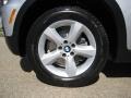 Titanium Silver Metallic - X5 3.0si Photo No. 25