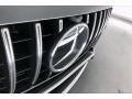 2020 designo Selenite Grey Magno (Matte) Mercedes-Benz AMG GT 63 S  photo #33
