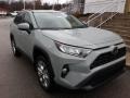 Lunar Rock - RAV4 XLE Premium AWD Photo No. 1
