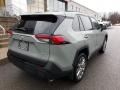 Lunar Rock - RAV4 XLE Premium AWD Photo No. 19