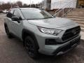Lunar Rock - RAV4 TRD Off-Road AWD Photo No. 1