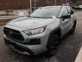 Lunar Rock - RAV4 TRD Off-Road AWD Photo No. 15