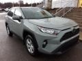 Lunar Rock 2019 Toyota RAV4 XLE AWD Exterior