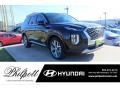 2020 Becketts Black Hyundai Palisade SEL  photo #1