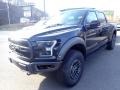 2020 Agate Black Ford F150 SVT Raptor SuperCrew 4x4  photo #4