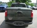 Estate Green Metallic - Explorer Sport Trac 4x4 Photo No. 7
