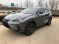 Nebula Gray Pearl - NX 300 AWD Photo No. 1