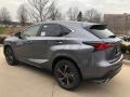 Nebula Gray Pearl - NX 300 AWD Photo No. 4