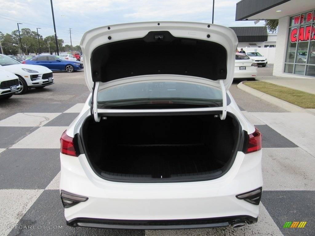 2019 Forte LXS - Clear White / Black photo #5