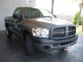 2008 Light Khaki Metallic Dodge Ram 1500 ST Regular Cab  photo #4