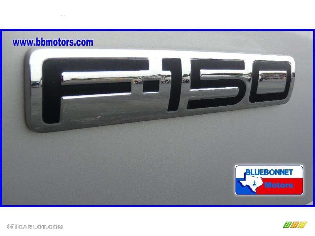 2005 F150 XLT SuperCrew - Silver Metallic / Medium Flint Grey photo #10