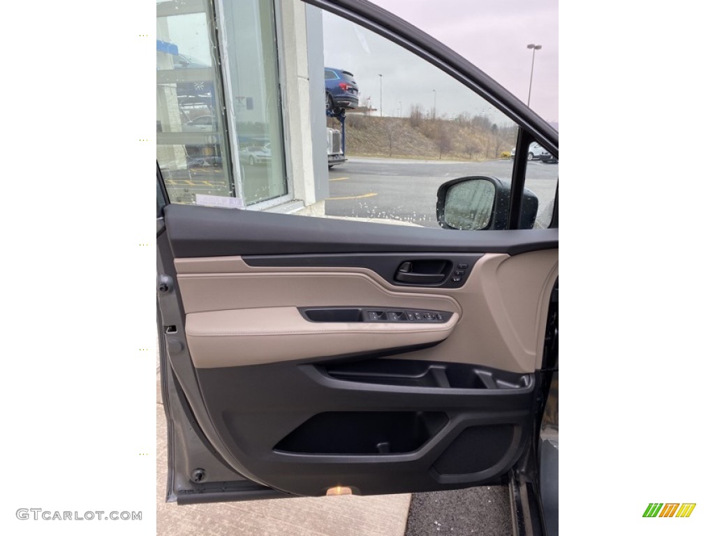 2020 Honda Odyssey EX-L Door Panel Photos