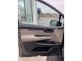 2020 Honda Odyssey Beige Interior Door Panel Photo