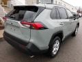 Lunar Rock - RAV4 XLE AWD Hybrid Photo No. 17