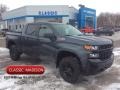 2020 Shadow Gray Metallic Chevrolet Silverado 1500 Custom Trail Boss Crew Cab 4x4  photo #1