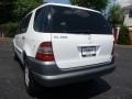 Polar White - ML 320 4Matic Photo No. 15
