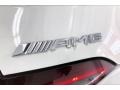 2020 Mercedes-Benz AMG GT 63 S Badge and Logo Photo