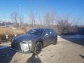 Atomic Silver - UX 250h AWD Photo No. 1
