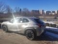 Atomic Silver - UX 250h AWD Photo No. 4