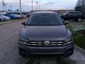 Platinum Gray Metallic - Tiguan S Photo No. 2