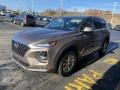 2020 Earthy Bronze Hyundai Santa Fe SEL AWD  photo #7