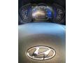 2020 Earthy Bronze Hyundai Santa Fe SEL AWD  photo #28