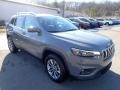 Sting-Gray - Cherokee Latitude Plus 4x4 Photo No. 7