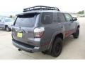 Magnetic Gray Metallic - 4Runner TRD Pro 4x4 Photo No. 8