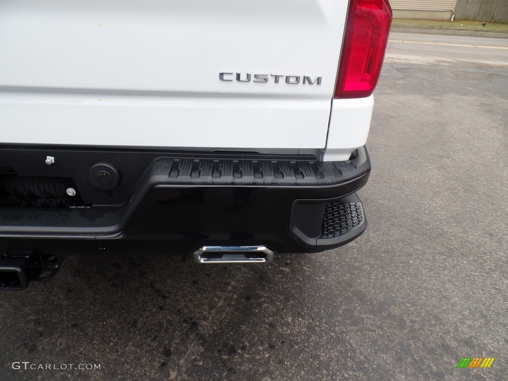 2020 Chevrolet Silverado 1500 Custom Trail Boss Double Cab 4x4 Marks and Logos Photo #136637221