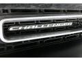 Destroyer Grey - Challenger SXT Photo No. 30