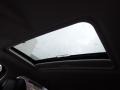 Shadow Black - EcoSport SES 4WD Photo No. 12