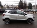 Moondust Silver Metallic - EcoSport SES 4WD Photo No. 4