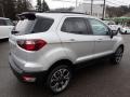Moondust Silver Metallic - EcoSport SES 4WD Photo No. 5