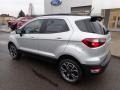 Moondust Silver Metallic - EcoSport SES 4WD Photo No. 8