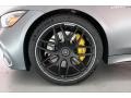2020 Mercedes-Benz AMG GT 63 S Wheel and Tire Photo