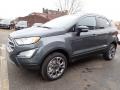 2020 Smoke Metallic Ford EcoSport Titanium 4WD  photo #7