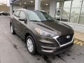 Sage Brown 2020 Hyundai Tucson Value AWD Exterior