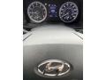 2020 Hyundai Venue Black Interior Gauges Photo