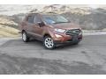 Canyon Ridge Metallic - EcoSport SE 4WD Photo No. 1